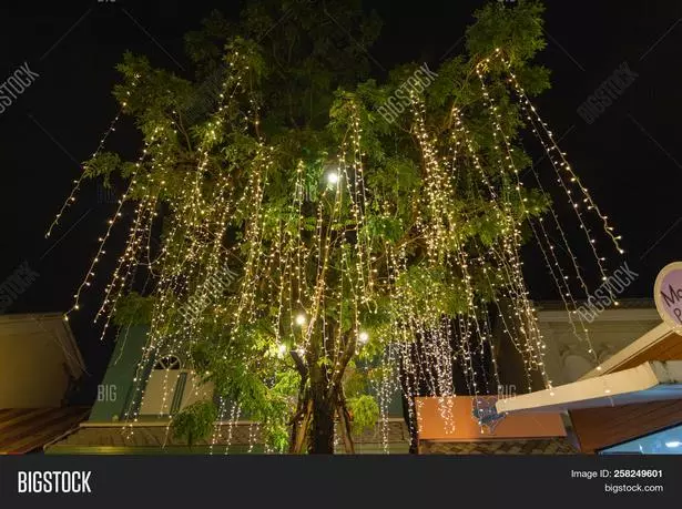 hangeleuchten-fur-baume-im-freien-88_5-8 Hängeleuchten für Bäume im Freien