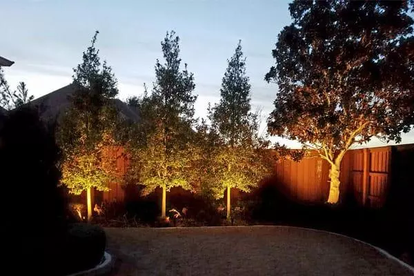 landschaftsbeleuchtung-baume-70_5-15 Landschaftsbeleuchtung Bäume