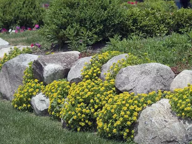 steine-fur-gartenrander-45_7-18 Steine für Gartenränder