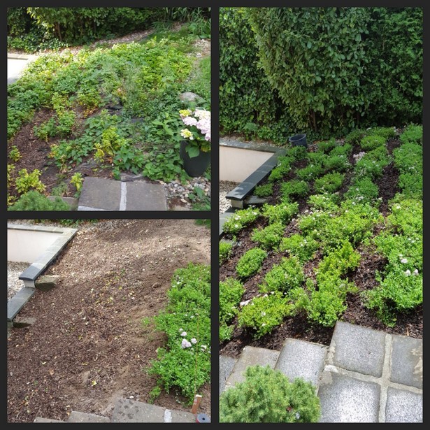 Alten garten neu gestalten