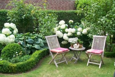 gartengestaltung-mit-buchs-und-hortensien-38_17 Gartengestaltung mit buchs und hortensien
