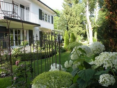 gartengestaltung-mit-buchs-und-hortensien-38_18 Gartengestaltung mit buchs und hortensien