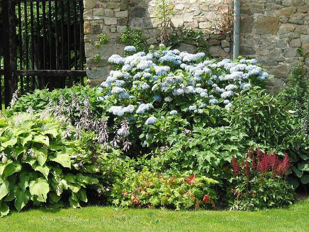 gartengestaltung-mit-buchs-und-hortensien-38_7 Gartengestaltung mit buchs und hortensien