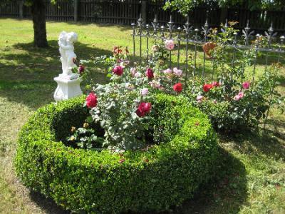 gartengestaltung-mit-buchs-und-hortensien-38_8 Gartengestaltung mit buchs und hortensien