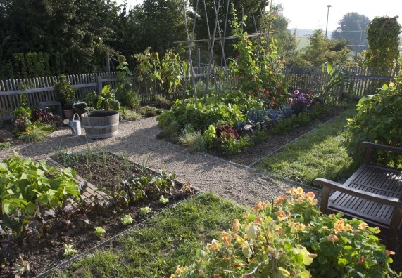 Gemüsegarten gestalten