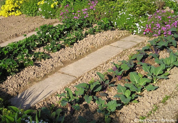 Gemüsegarten gestalten