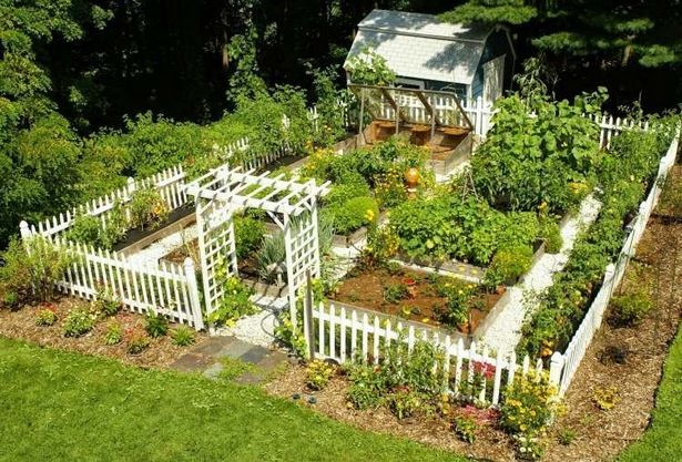 Gemüsegarten gestalten
