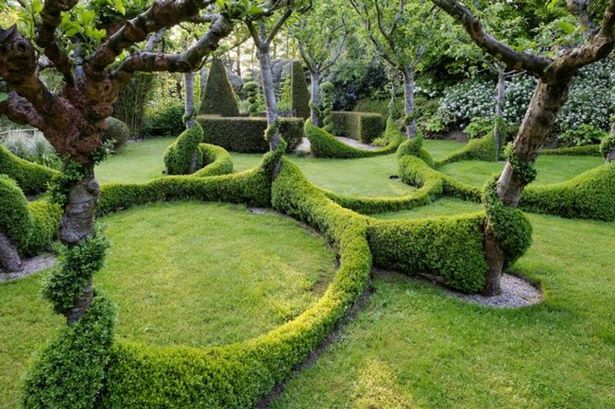 Hecken ideen garten