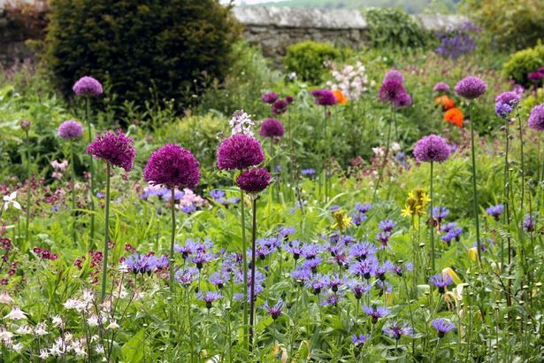 Natürliche gartengestaltung