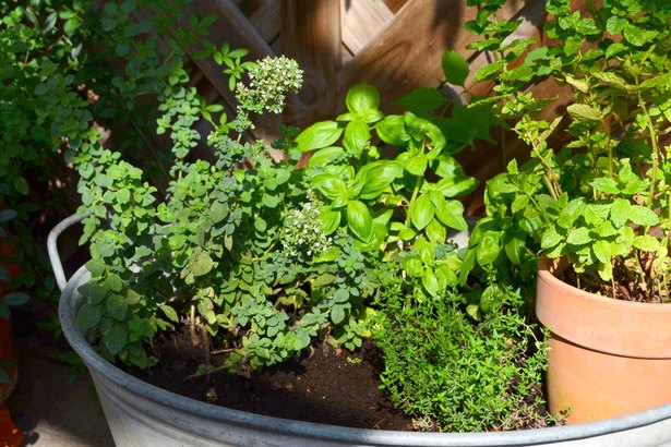 pflanzen-ideen-fur-kleine-garten-90_4 Pflanzen ideen für kleine gärten