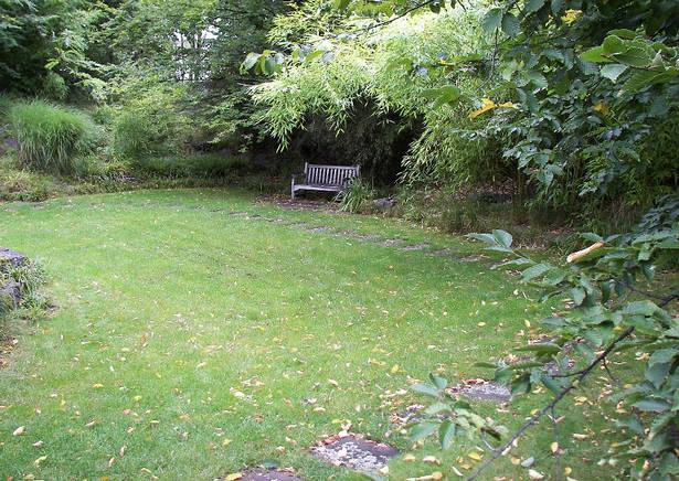 Schattiger garten gestalten