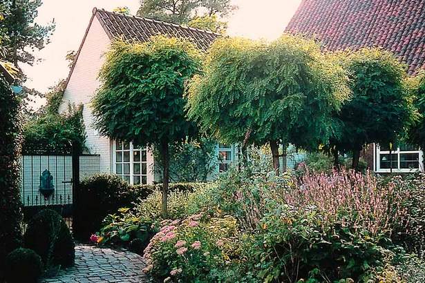 schmale-baume-fur-kleine-garten-57_9 Schmale bäume für kleine gärten