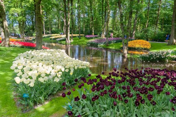 garten-in-niederlande-80_13 Gärten in niederlande