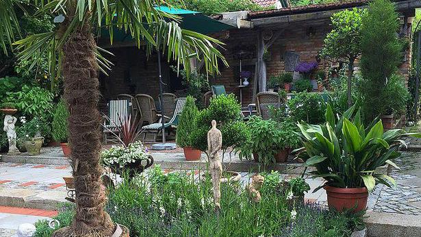 Garten mit palmen gestalten