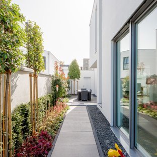 Moderne kübelpflanzen