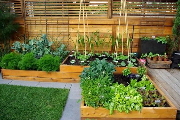 angehoben-veggie-garten-ideen-91_11 Raised veggie garden ideas