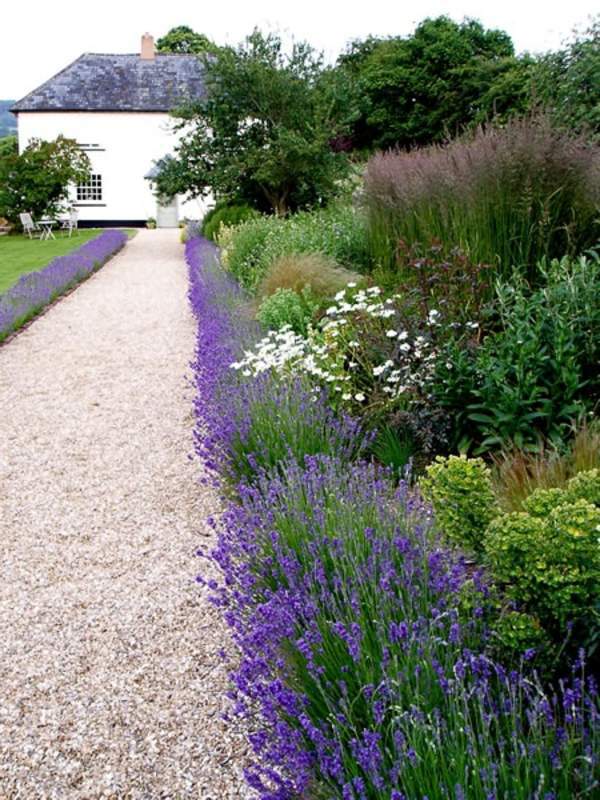 auffahrt-garten-design-ideen-46_7 Driveway garden design ideas