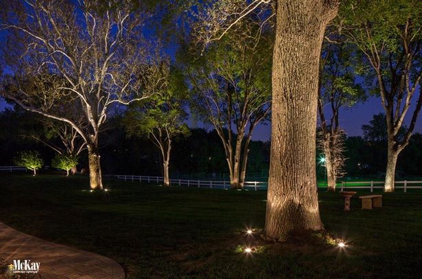 aussenbeleuchtung-ideen-baume-95_18 Outdoor lighting ideas trees