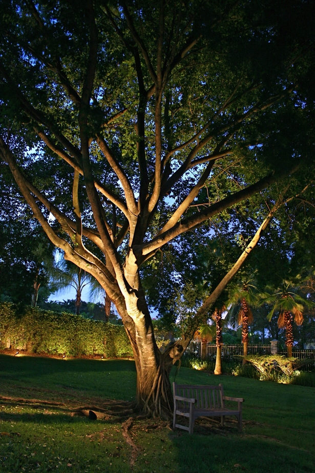 aussenbeleuchtung-ideen-baume-95_2 Outdoor lighting ideas trees