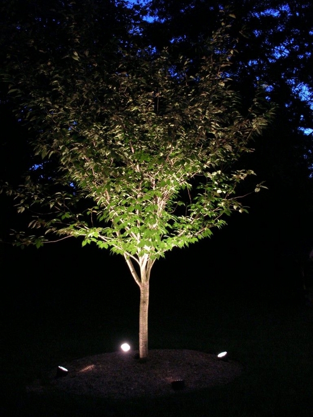 aussenbeleuchtung-ideen-baume-95_3 Outdoor lighting ideas trees