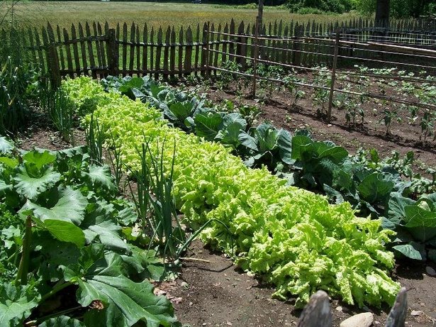 bio-garten-design-ideen-19 Organic garden design ideas