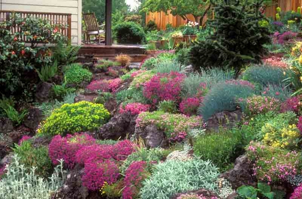 blumen-fur-steingarten-ideen-94 Flowers for rock gardens ideas