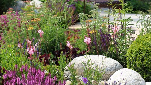 blumen-fur-steingarten-ideen-94_11 Flowers for rock gardens ideas
