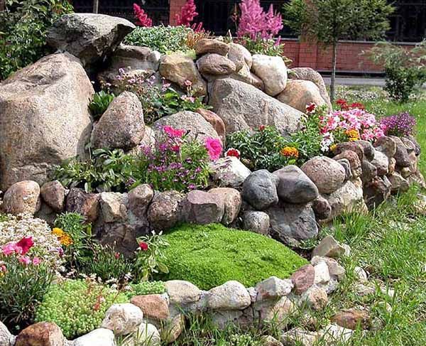 blumen-fur-steingarten-ideen-94_17 Flowers for rock gardens ideas