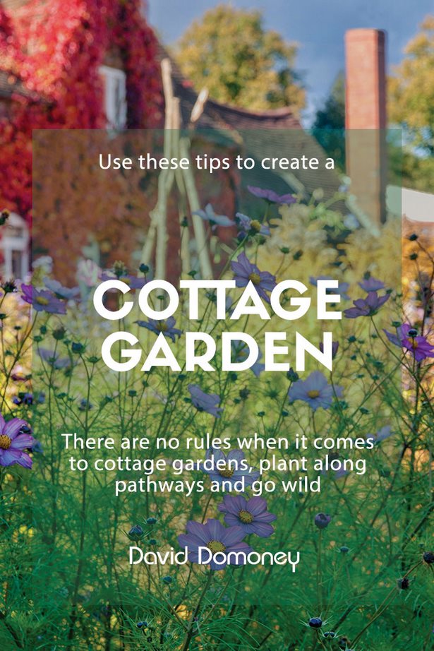 cottage-garten-pflanzen-ideen-89_3 Cottage garden plants ideas