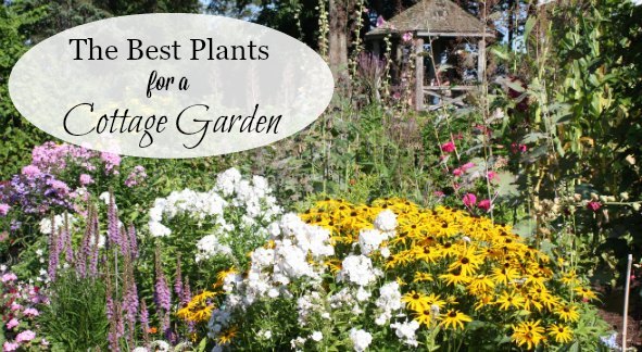 cottage-garten-straucher-ideen-85_19 Cottage garden shrubs ideas