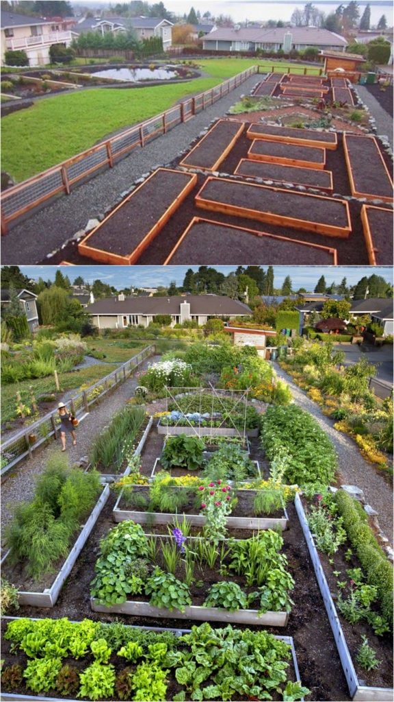 erhohte-gemusegarten-design-ideen-35_10 Raised vegetable garden design ideas