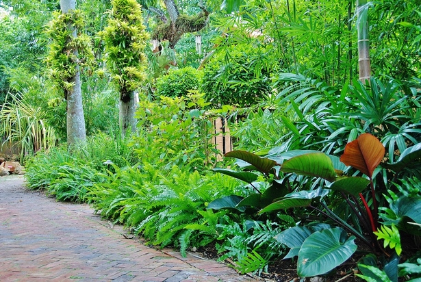 florida-tropische-landschaftsgestaltung-ideen-55_13 Florida tropical landscaping ideas