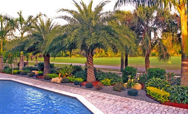 florida-tropische-landschaftsgestaltung-ideen-55_14 Florida tropical landscaping ideas