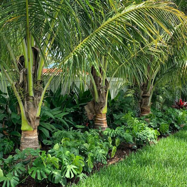 florida-tropische-landschaftsgestaltung-ideen-55_16 Florida tropical landscaping ideas