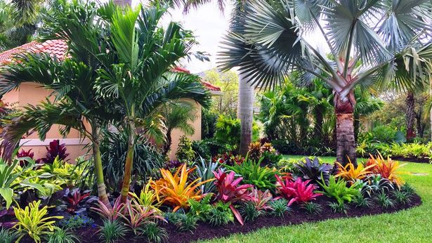 florida-tropische-landschaftsgestaltung-ideen-55_18 Florida tropical landscaping ideas