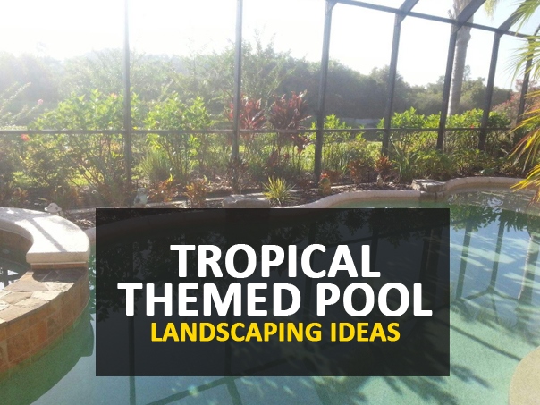 florida-tropische-landschaftsgestaltung-ideen-55_6 Florida tropical landscaping ideas