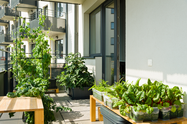 gartenideen-fur-wohnungsbalkone-36 Garden ideas for apartment balconies