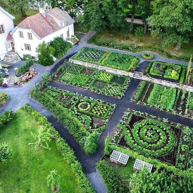gemusegarten-designs-und-ideen-97_15 Vegetable garden designs and ideas