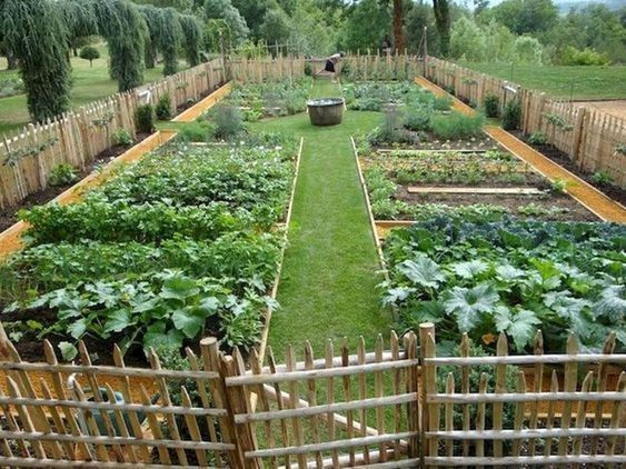 gemusegarten-designs-und-ideen-97_6 Vegetable garden designs and ideas