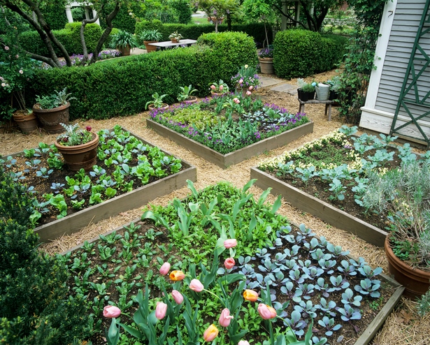 gemusegarten-ideen-designs-erhohte-garten-75_9 Vegetable garden ideas designs raised gardens