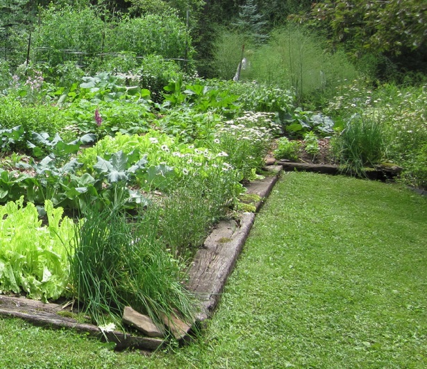 gemusegarten-kanten-ideen-50_10 Vegetable garden edging ideas