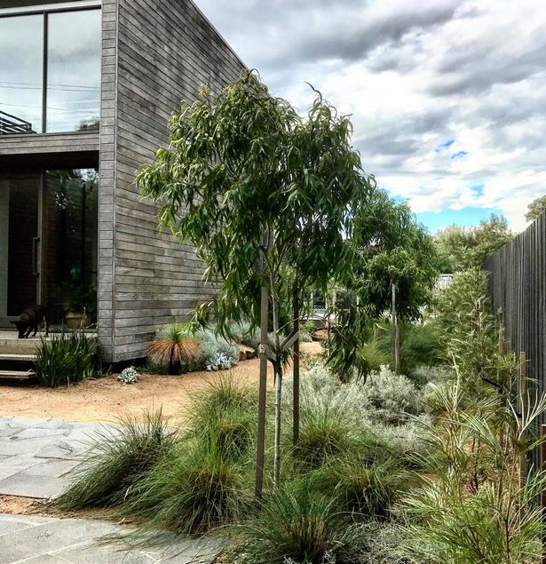 heimische-australische-garten-design-ideen-76_3 Native australian garden design ideas