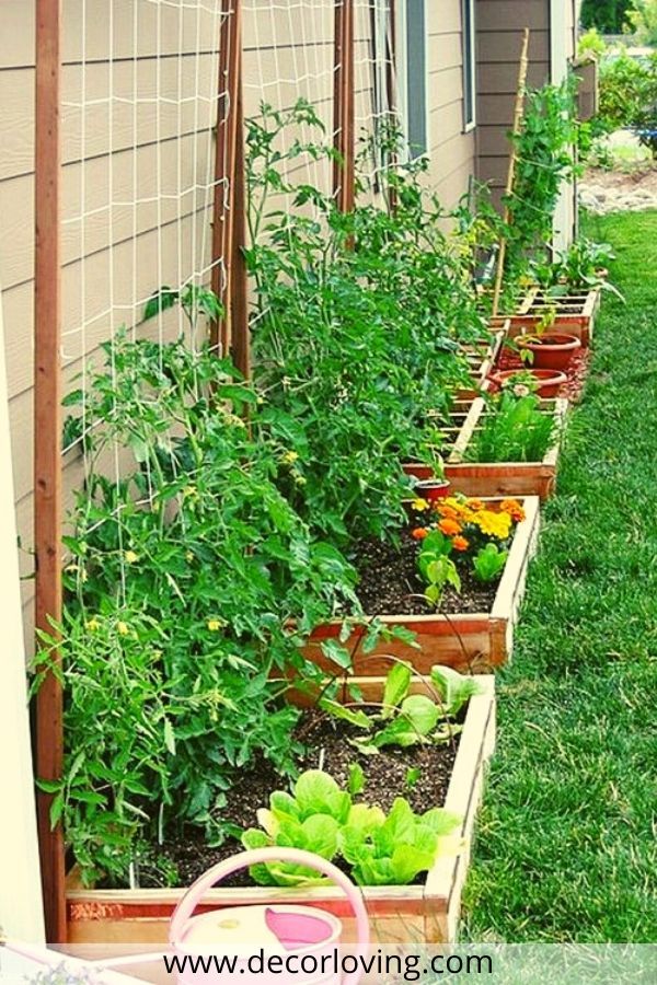 hinterhof-gemusegarten-design-ideen-40_10 Backyard vegetable garden design ideas
