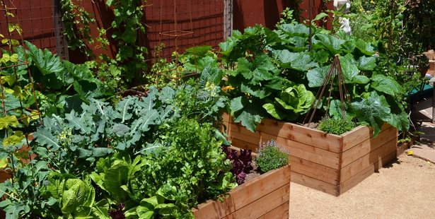 hinterhof-gemusegarten-design-ideen-40_16 Backyard vegetable garden design ideas