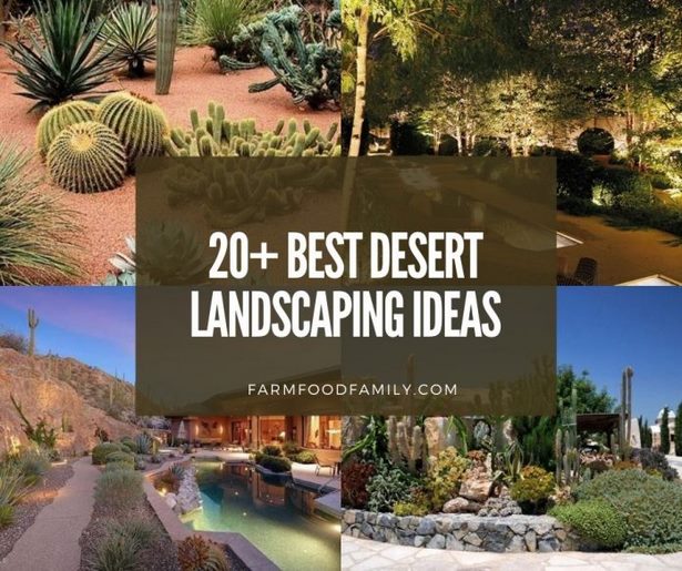 hinterhof-landschaft-design-ideen-auf-einem-budget-42_10 Backyard landscape design ideas on a budget