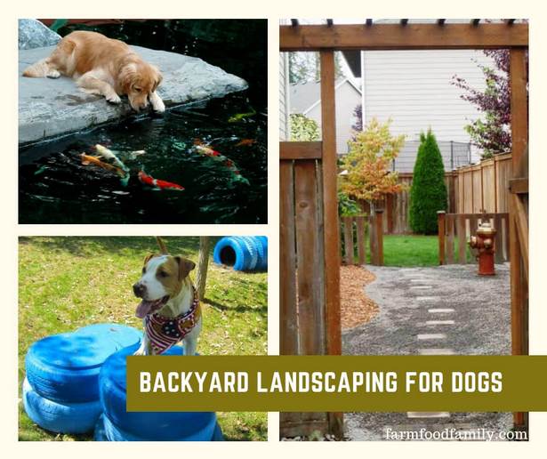 hinterhof-landschaftsbau-ideen-fur-hunde-19_5 Backyard landscaping ideas for dogs