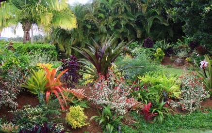 hinterhof-tropische-ideen-38_2 Backyard tropical ideas