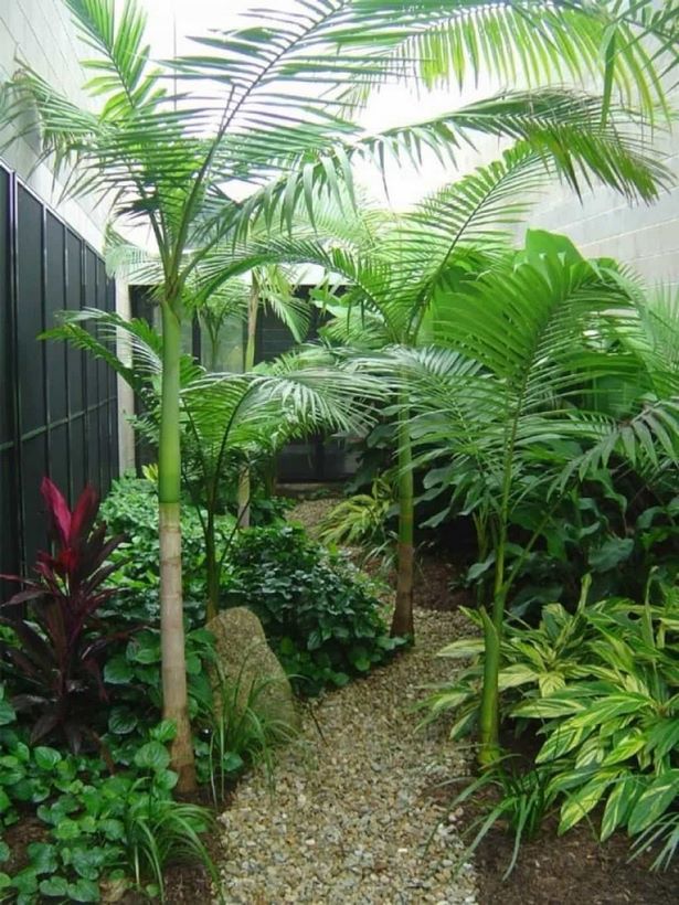 hinterhof-tropische-landschaftsgestaltung-ideen-68 Backyard tropical landscaping ideas