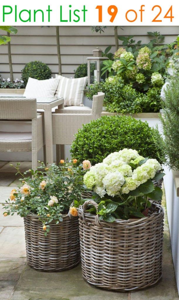 ideen-fur-pflanzgefasse-auf-terrassen-50_6 Ideas for planters on patios