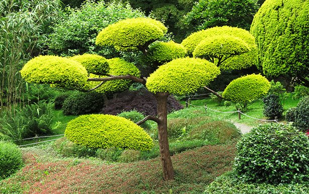 japanische-garten-ideen-75_6 Japanese gardens ideas